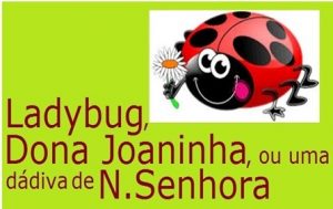 Joaninha